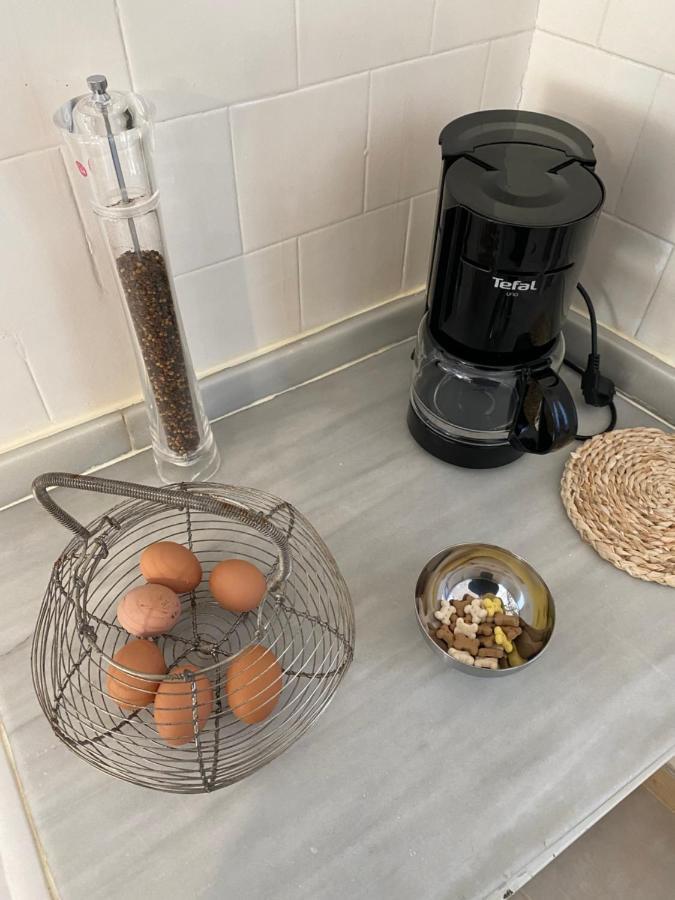 Chez Helene 3 Etoiles, Labellise Disabled Pmr,Pour 4 Personnes Chiens Bienvenus-Pet Friendly Apartman Bourg-Madame Kültér fotó